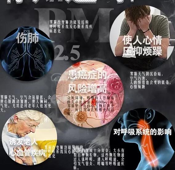 雾霾产生的疾病—下载茄子视频